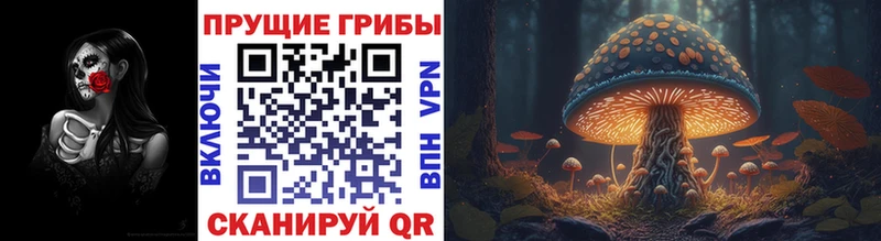 Галлюциногенные грибы GOLDEN TEACHER  Мегион 